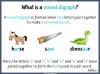 Vowel Digraphs and Trigraph Making the 'or' Sound - Year 1 Teaching Resources (slide 4/46)